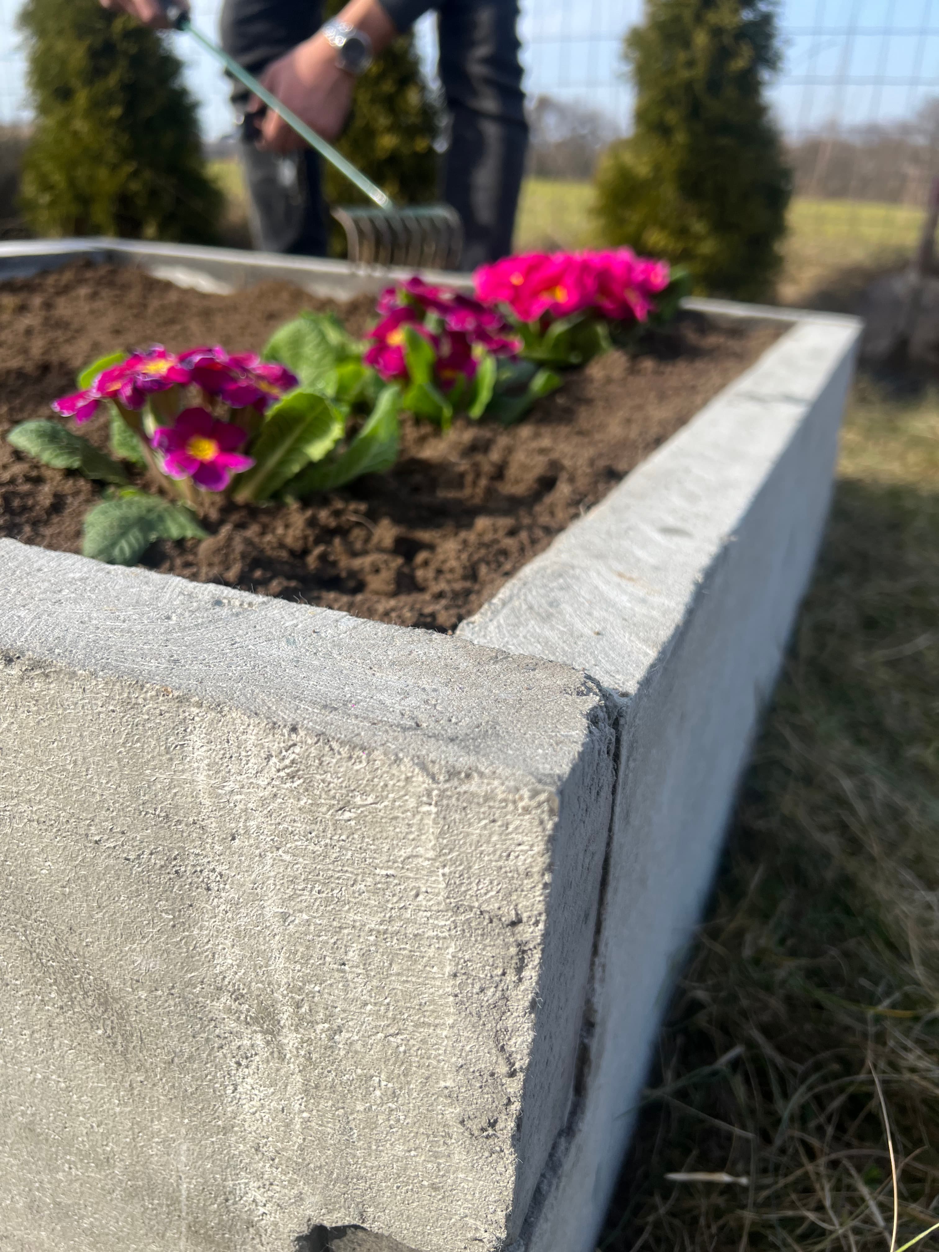 Warzywnik ogrodowy 4