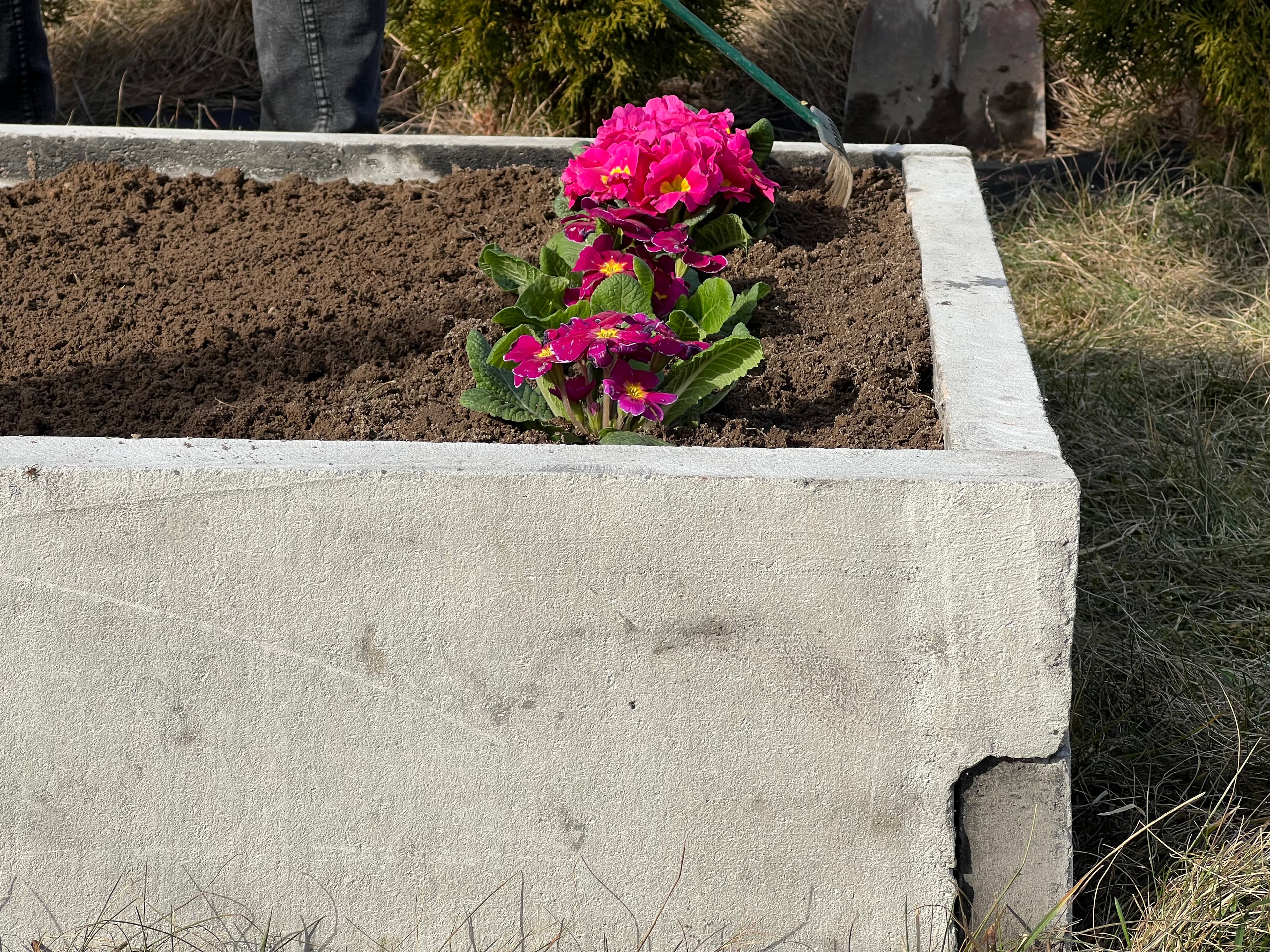 Warzywnik ogrodowy 7