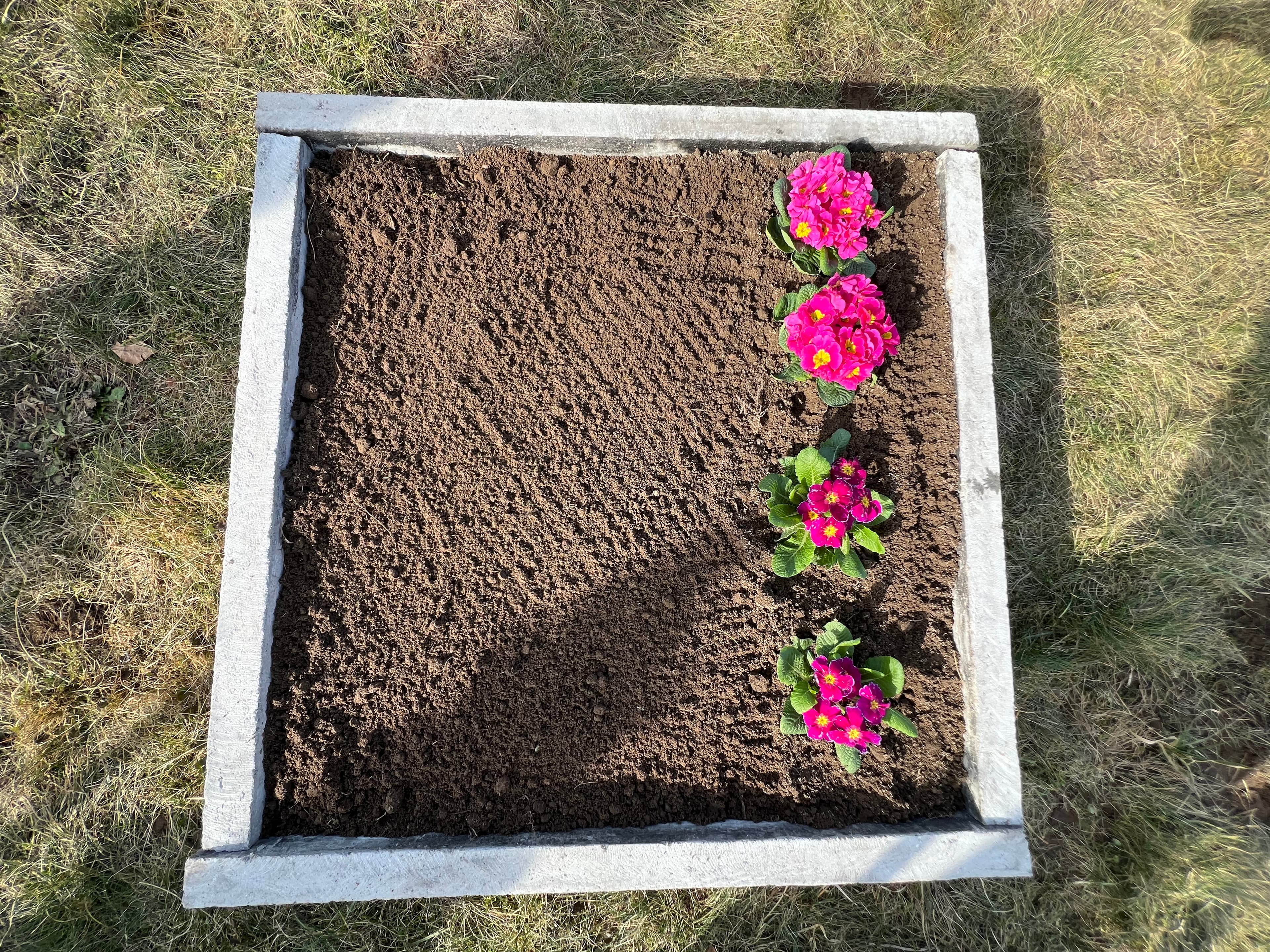 Warzywnik ogrodowy 11