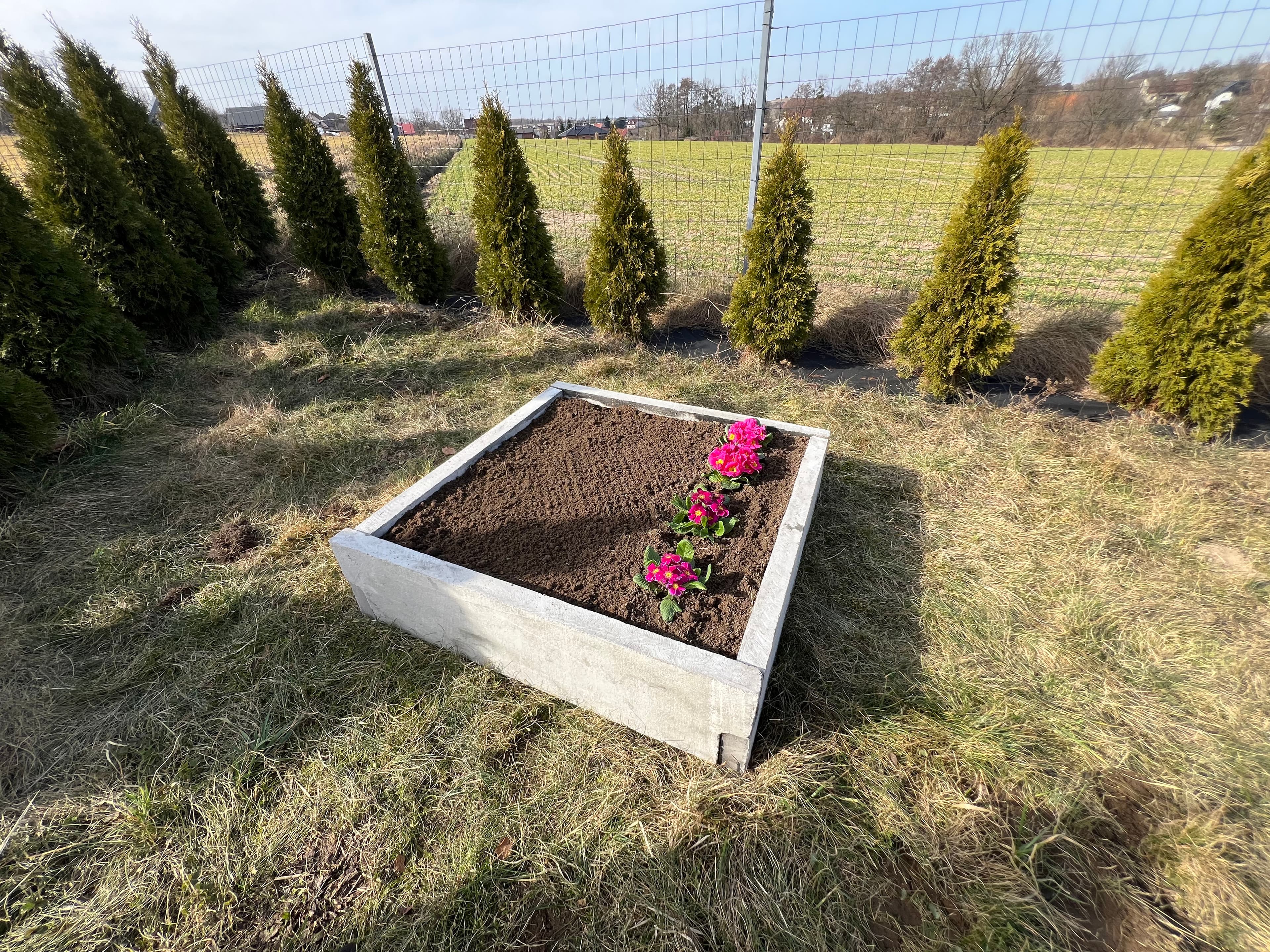 Warzywnik ogrodowy 12