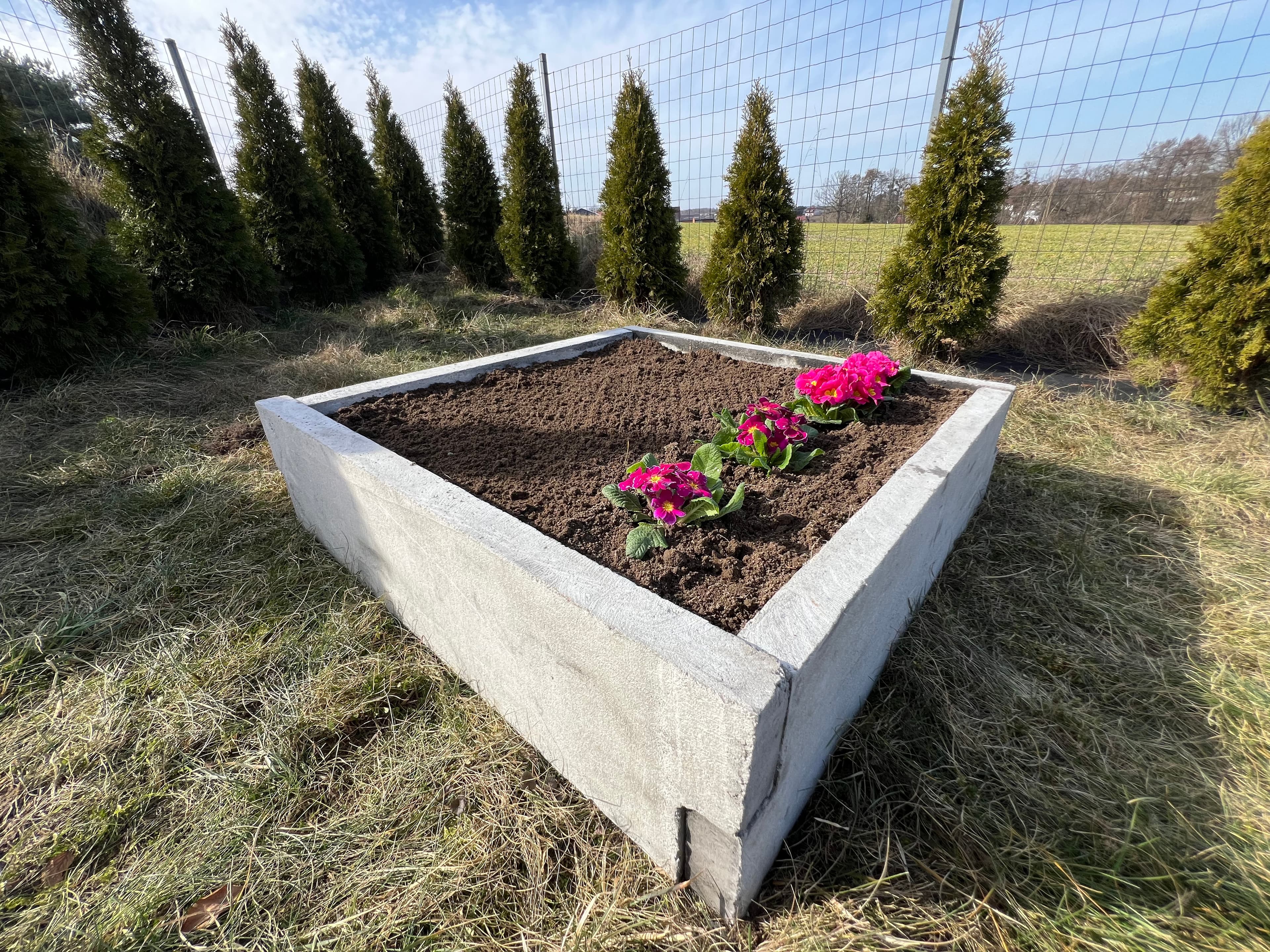 Warzywnik ogrodowy 14