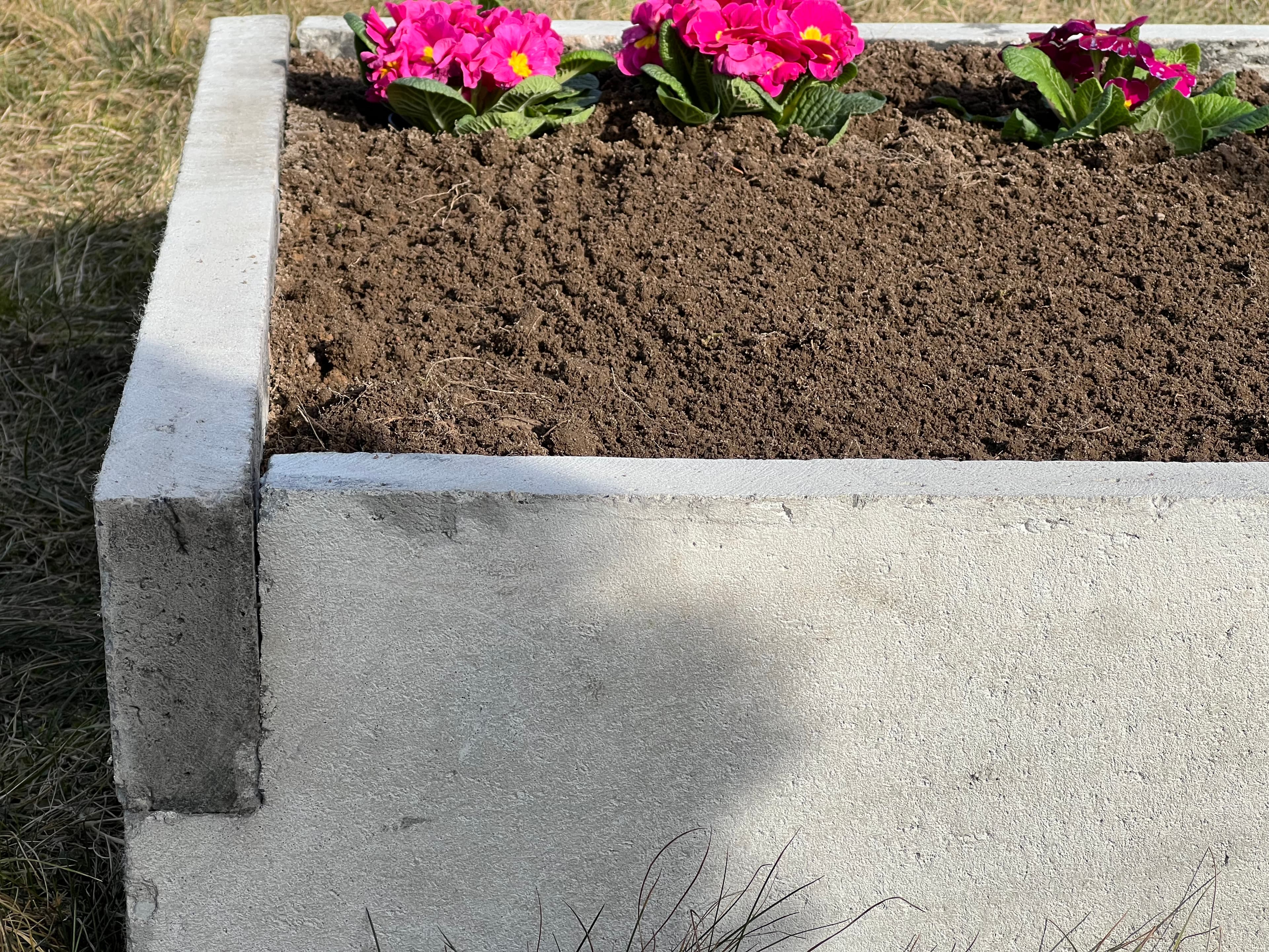 Warzywnik ogrodowy 16