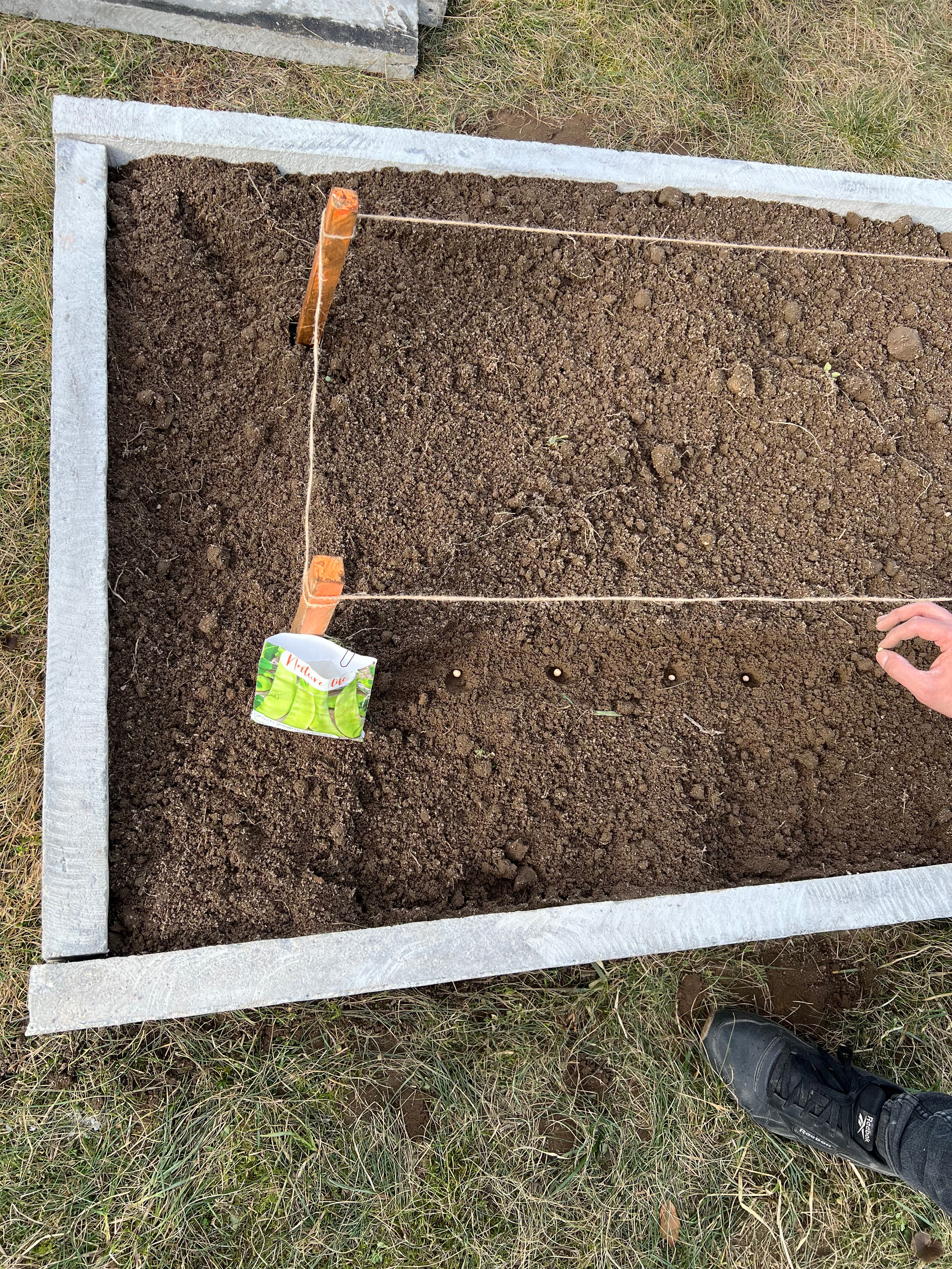 Warzywnik ogrodowy 19