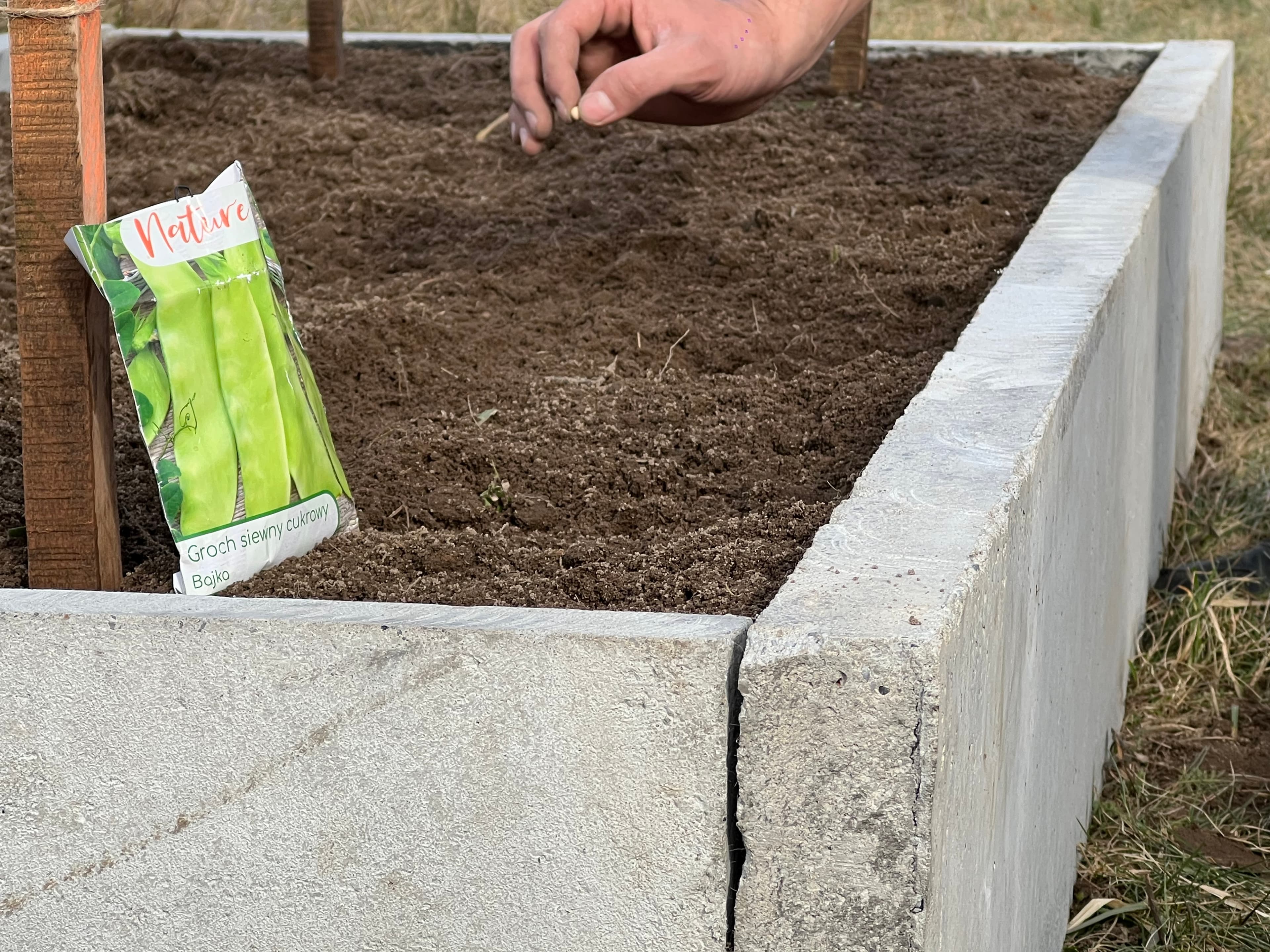 Warzywnik ogrodowy 21