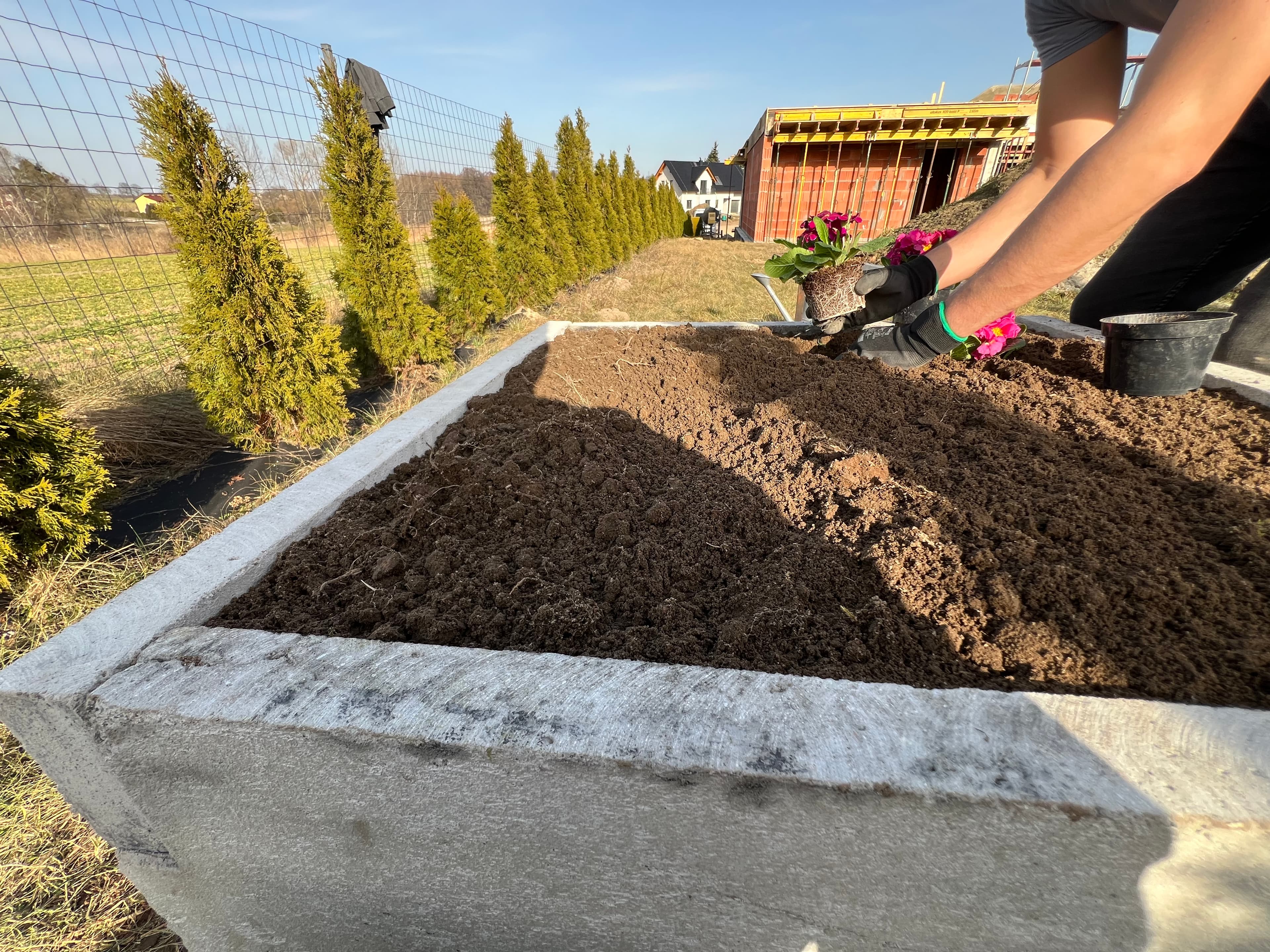 Warzywnik ogrodowy 32