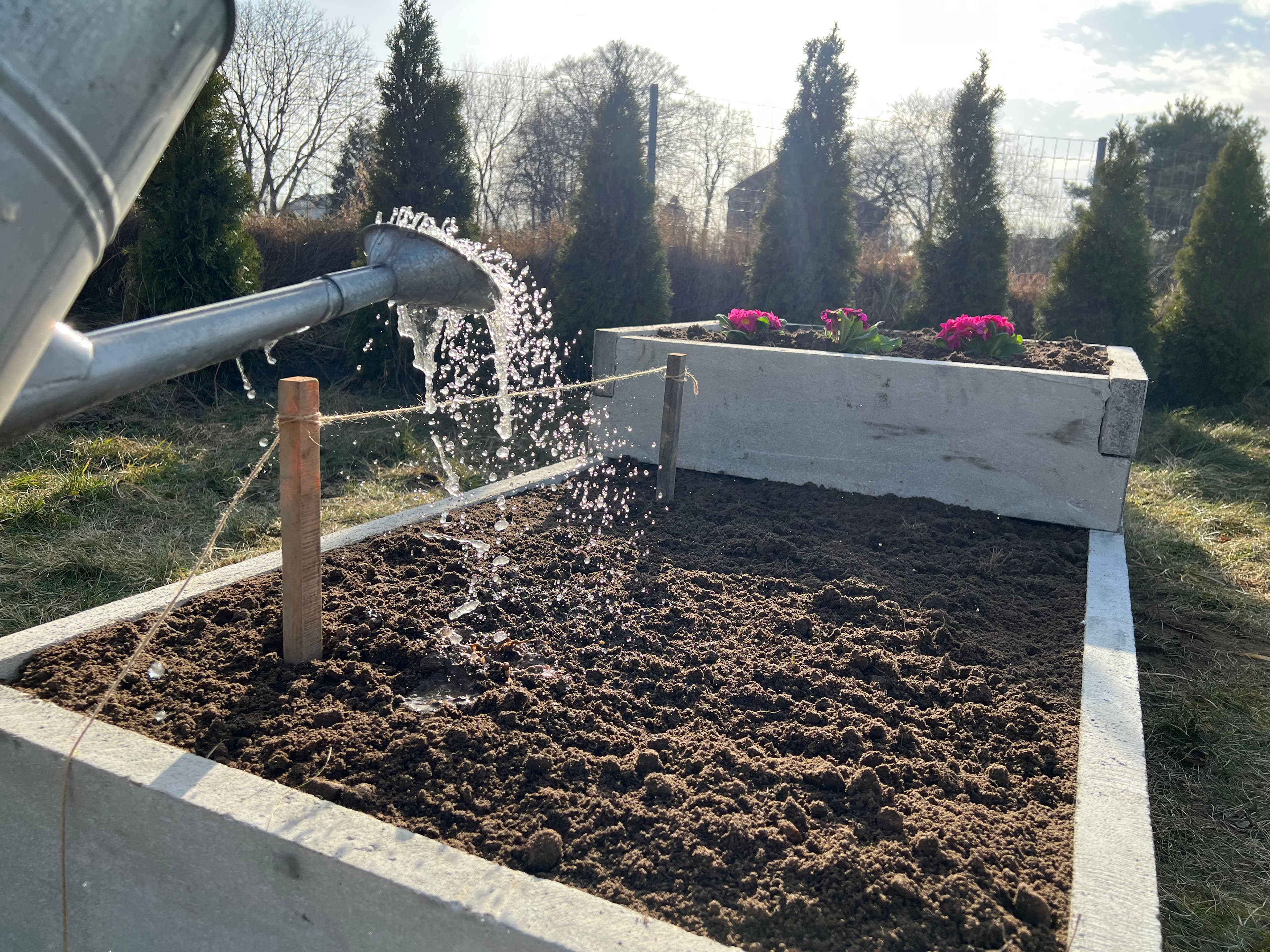 Warzywnik ogrodowy 40