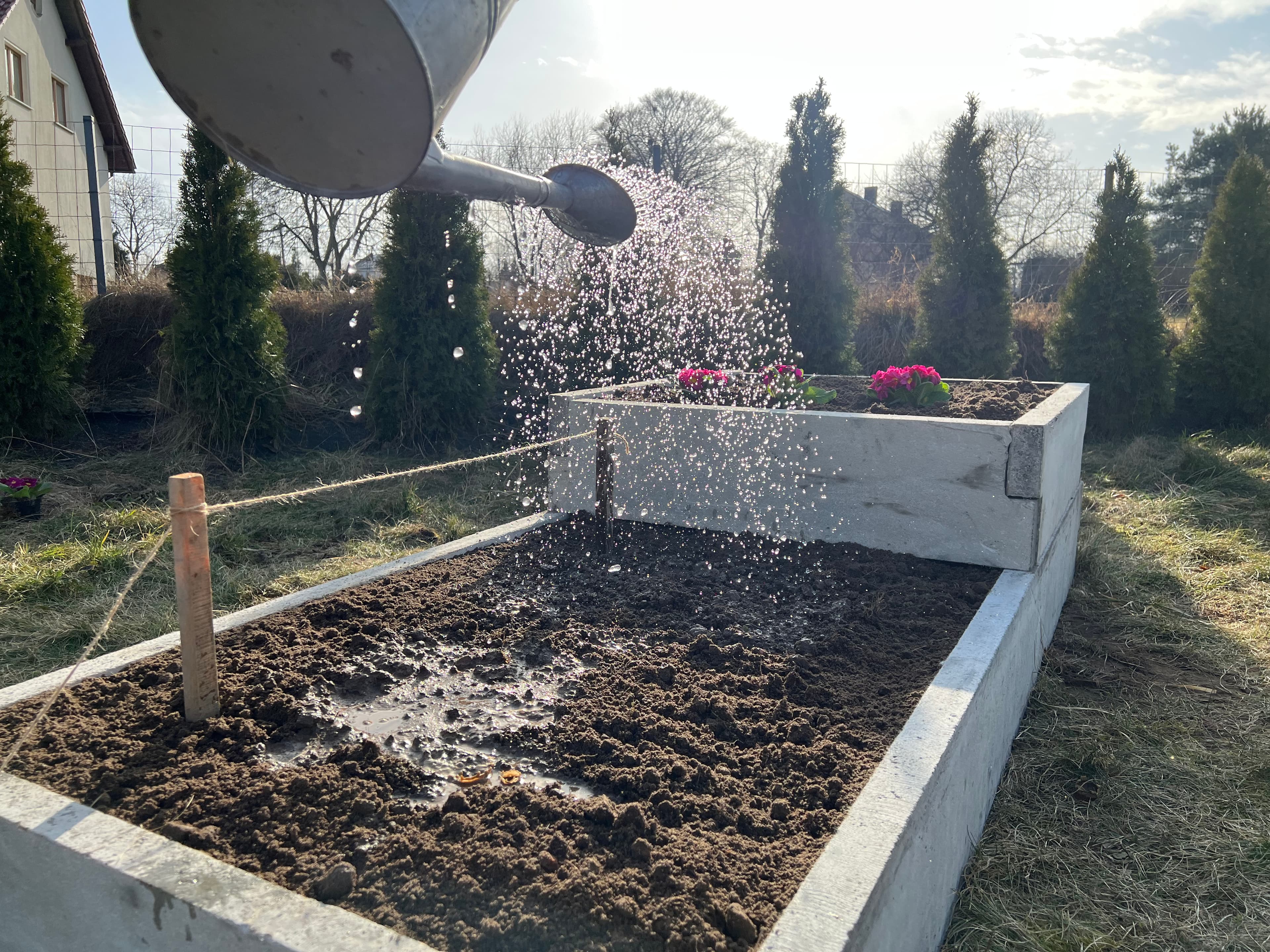 Warzywnik ogrodowy 41