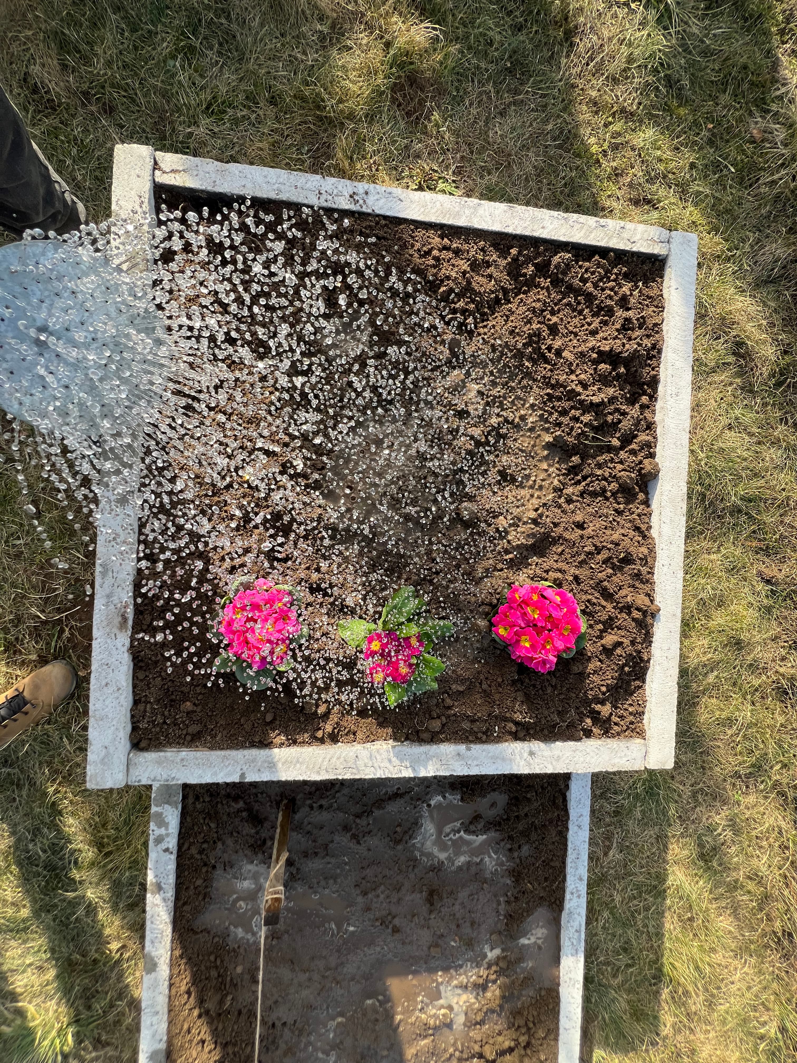 Warzywnik ogrodowy 47