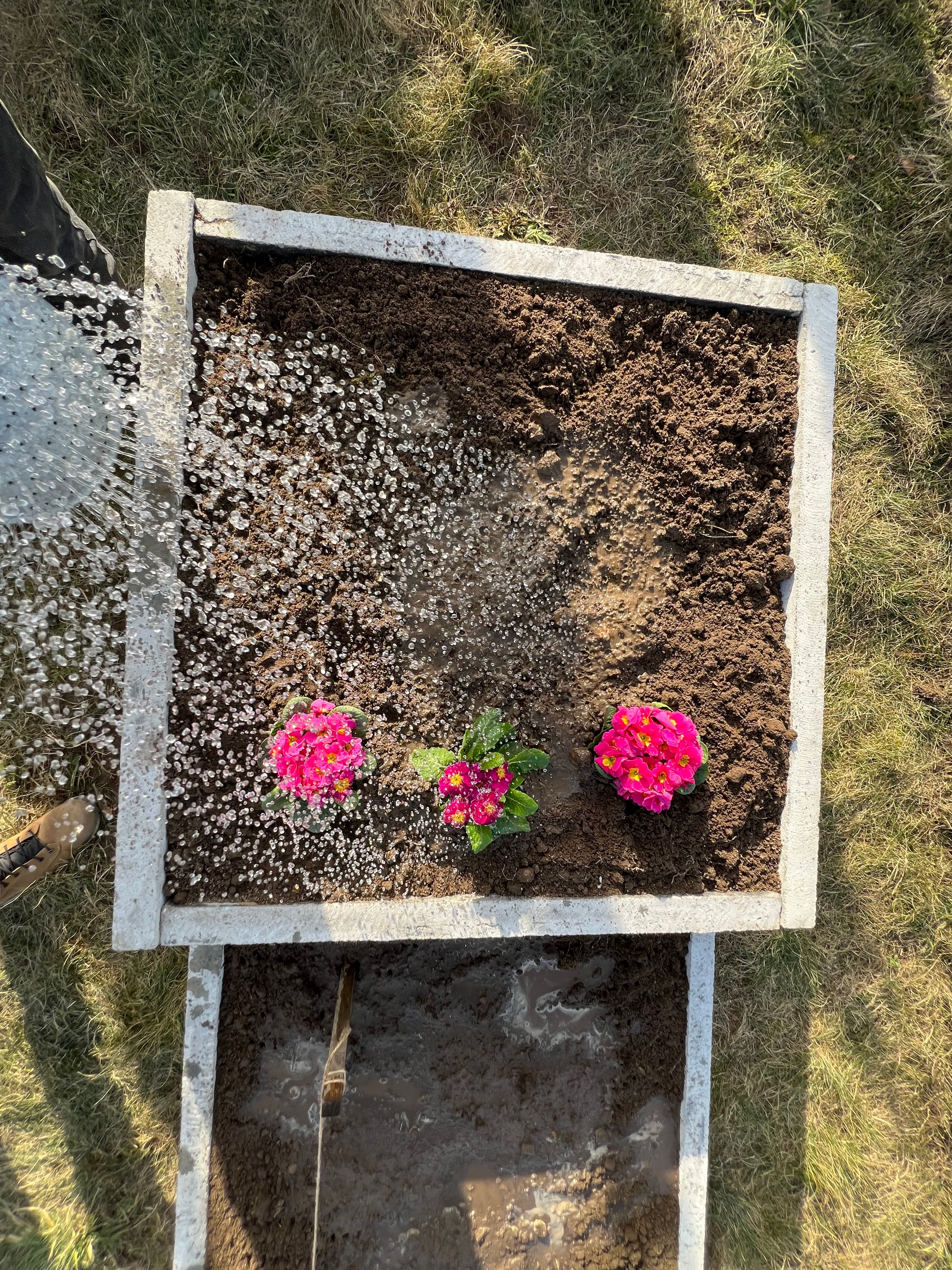 Warzywnik ogrodowy 48