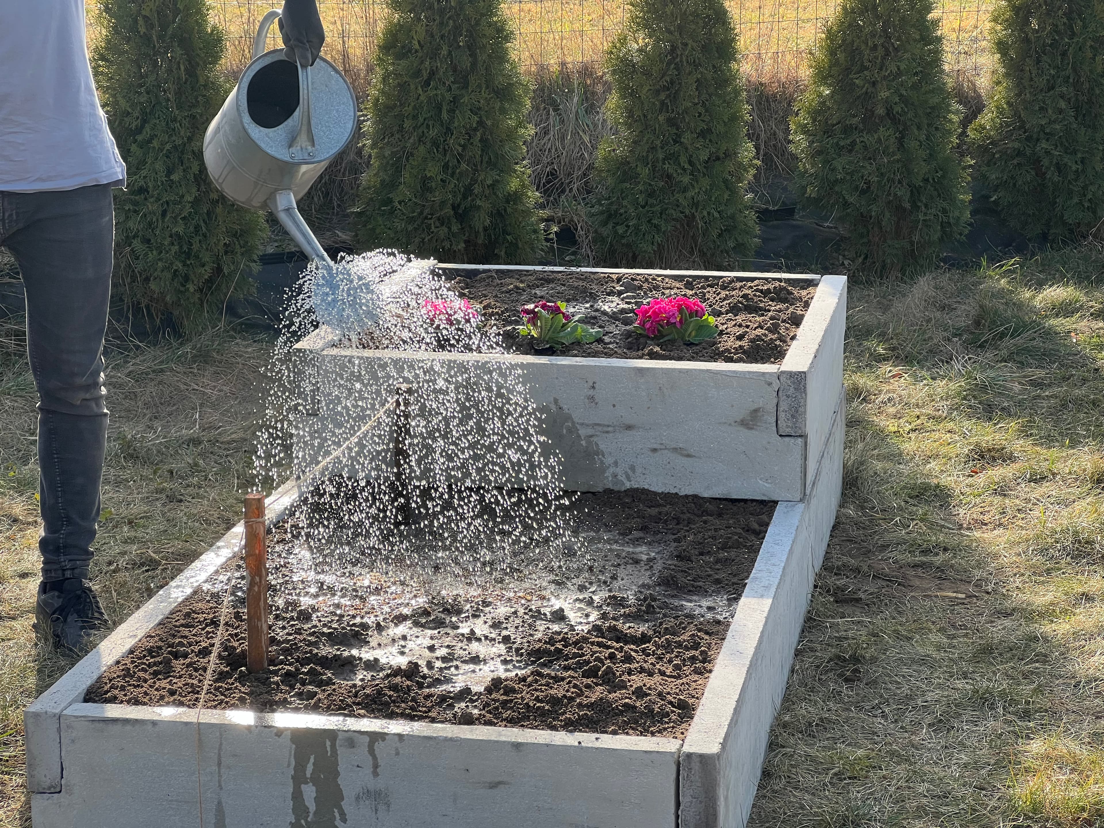 Warzywnik ogrodowy 50