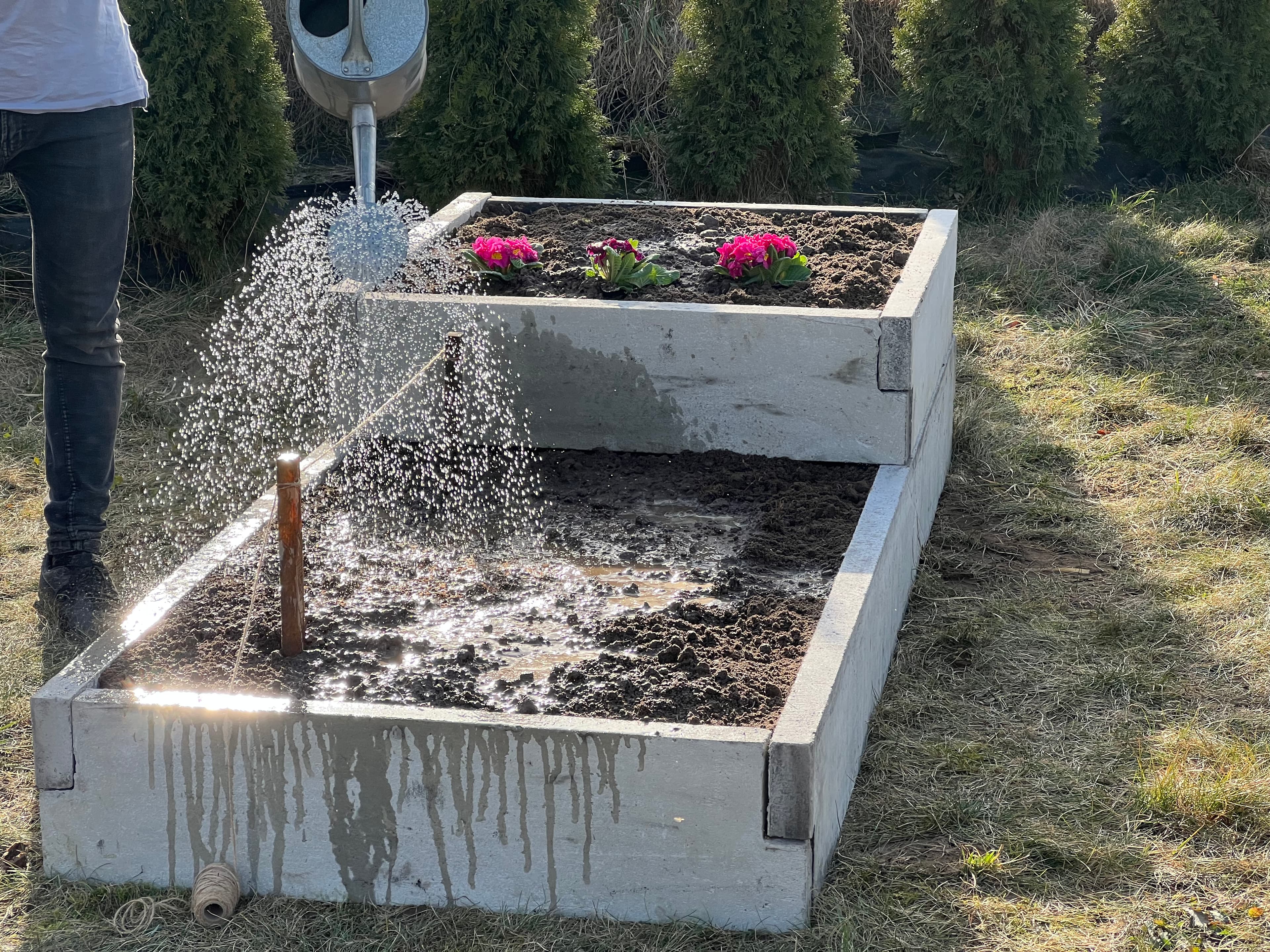 Warzywnik ogrodowy 51