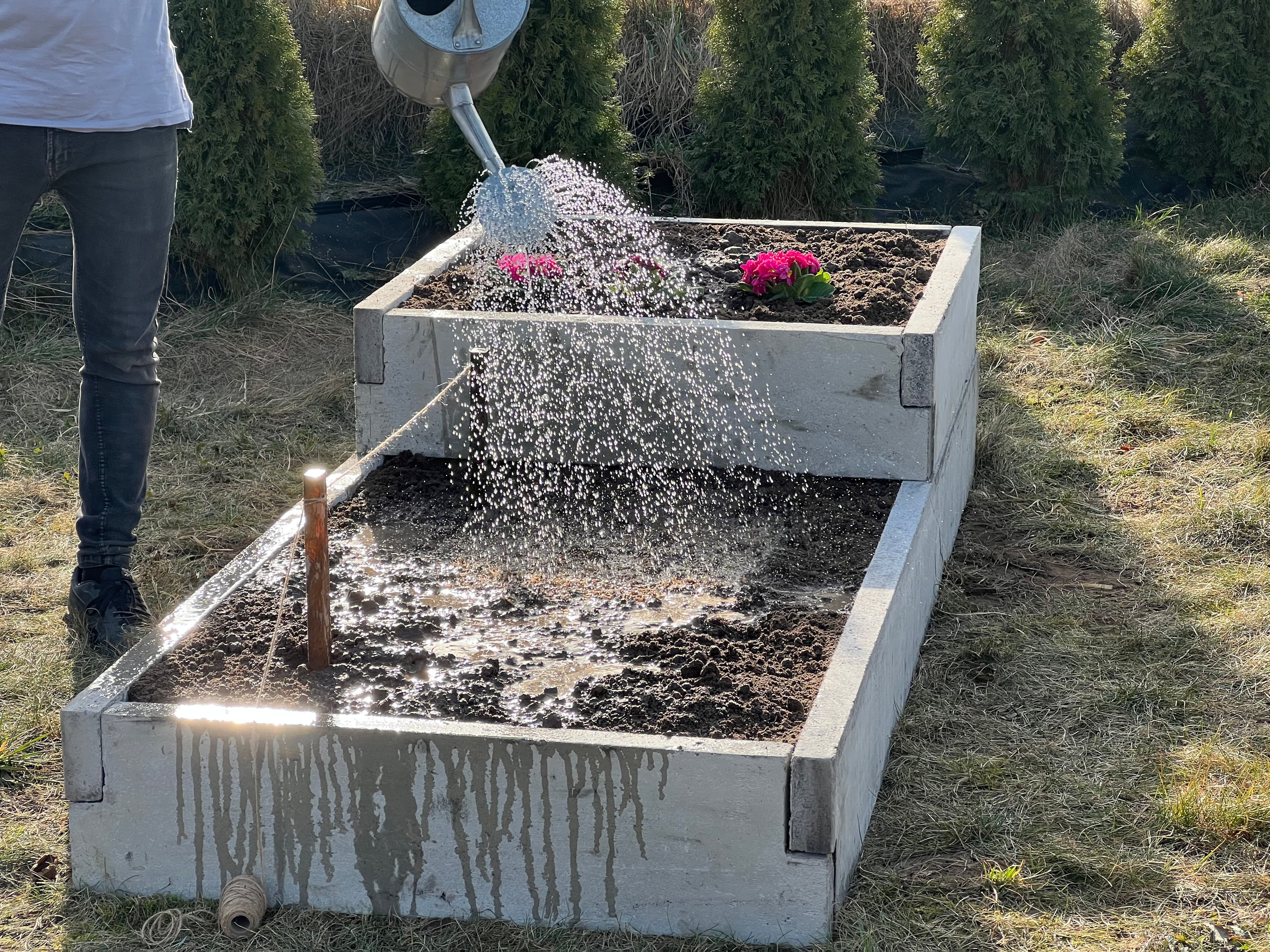 Warzywnik ogrodowy 52